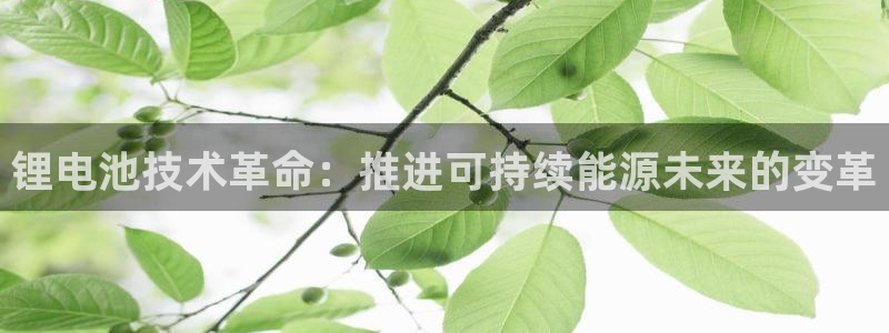 尊龙手机官方客户端下载安装：锂电池技术革命：推进可持续能源未来的变革