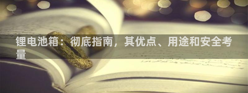 尊龙z6官网ag：锂电池箱：彻底指南，其优点、用途和安全考
量