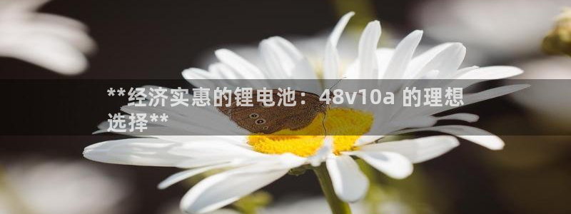 尊龙AG旗舰厅APP：**经济实惠的锂电池：48v10a 的理想
选择**