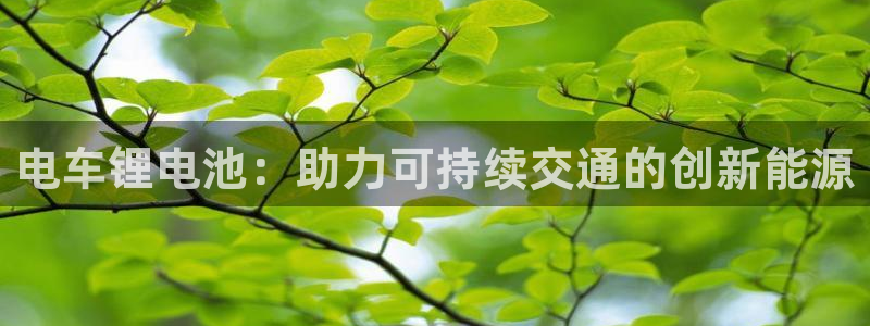 ZL尊龙凯时平台：电车锂电池：助力可持续交通的创新能源