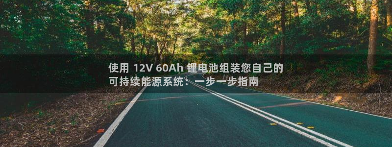 尊龙实业有限公司是正规还是仿：使用 12V 60Ah 锂电池组装您自己的
可持续能源系统：一步一步指南